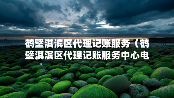 鹤壁淇滨区代理记账服务（鹤壁淇滨区代理记账服务中心电话）