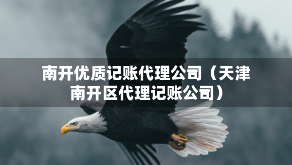 南开优质记账代理公司（天津南开区代理记账公司）