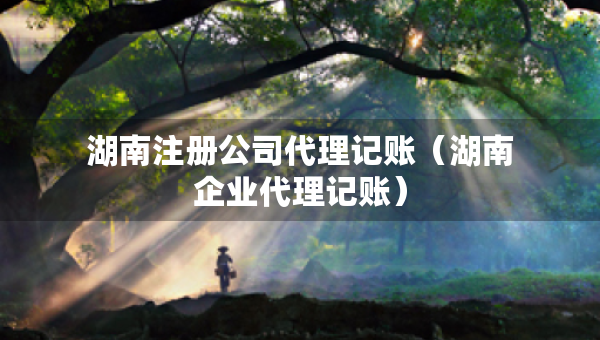 湖南注册公司代理记账（湖南企业代理记账）