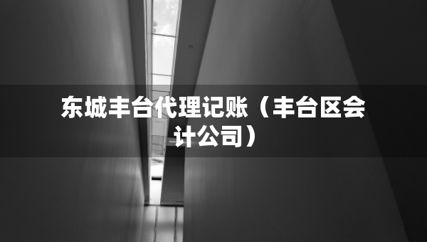 东城丰台代理记账（丰台区会计公司）