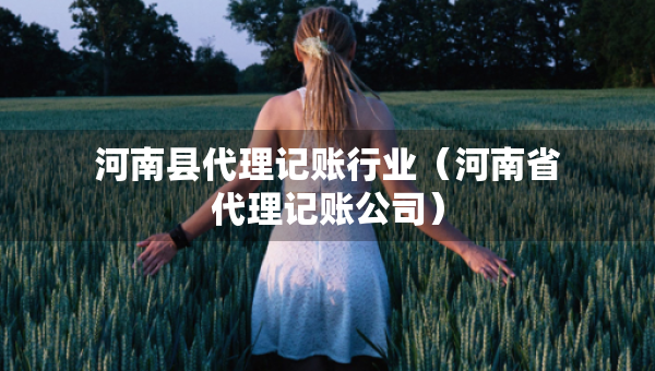 河南县代理记账行业（河南省代理记账公司）