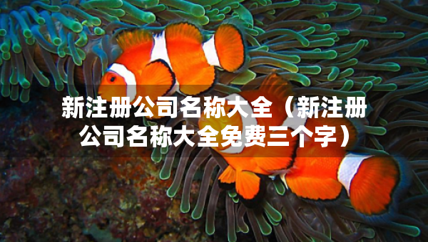 新注册公司名称大全（新注册公司名称大全免费三个字）