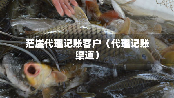 茫崖代理记账客户（代理记账渠道）