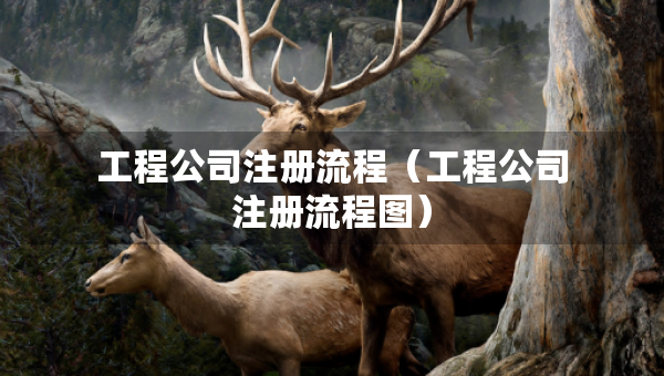 工程公司注册流程（工程公司注册流程图）