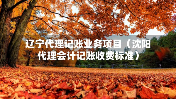 辽宁代理记账业务项目（沈阳代理会计记账收费标准）