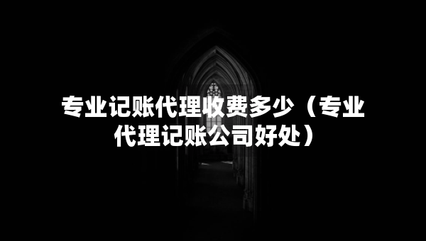 专业记账代理收费多少（专业代理记账公司好处）