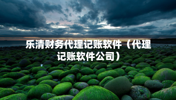 乐清财务代理记账软件（代理记账软件公司）