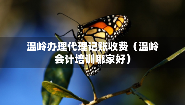 温岭办理代理记账收费（温岭会计培训哪家好）
