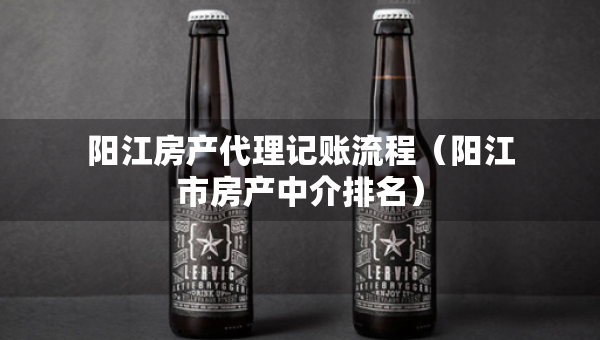 阳江房产代理记账流程（阳江市房产中介排名）
