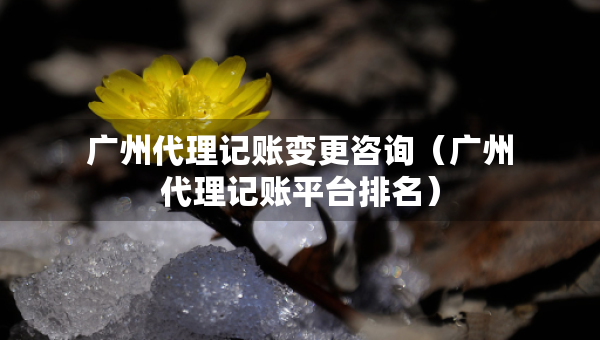 广州代理记账变更咨询（广州代理记账平台排名）
