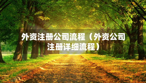 外资注册公司流程（外资公司注册详细流程）