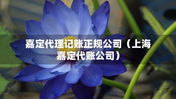 嘉定代理记账正规公司（上海嘉定代账公司）
