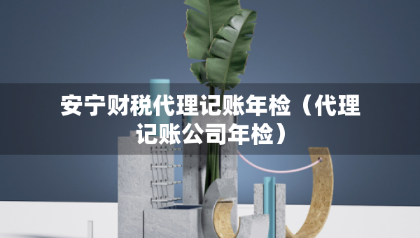安宁财税代理记账年检（代理记账公司年检）