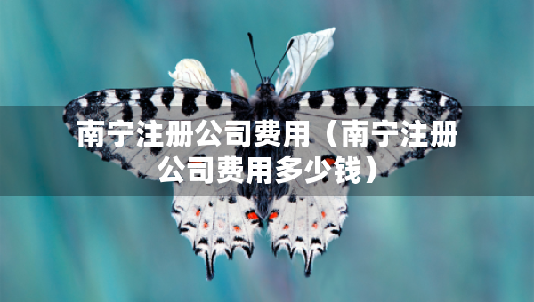 南宁注册公司费用（南宁注册公司费用多少钱）