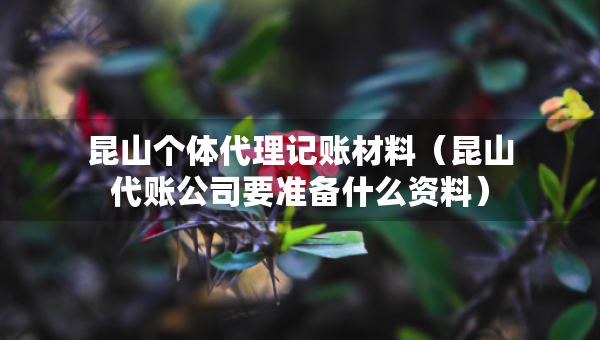 昆山个体代理记账材料（昆山代账公司要准备什么资料）