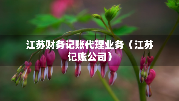 江苏财务记账代理业务（江苏记账公司）
