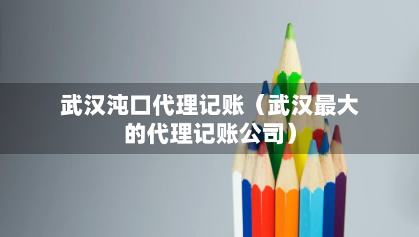 武汉沌口代理记账（武汉最大的代理记账公司）