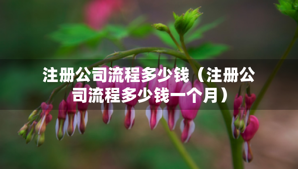 注册公司流程多少钱（注册公司流程多少钱一个月）