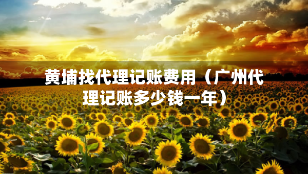 黄埔找代理记账费用（广州代理记账多少钱一年）