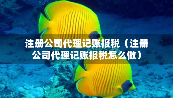 注册公司代理记账报税（注册公司代理记账报税怎么做）