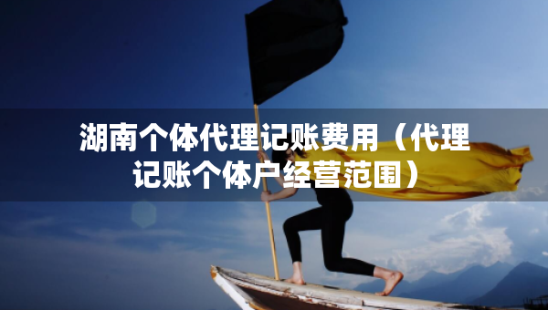 湖南个体代理记账费用（代理记账个体户经营范围）