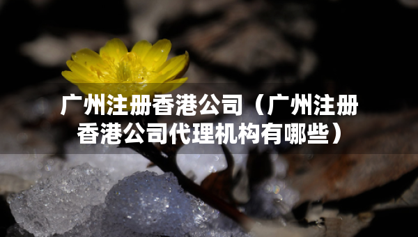 广州注册香港公司（广州注册香港公司代理机构有哪些）