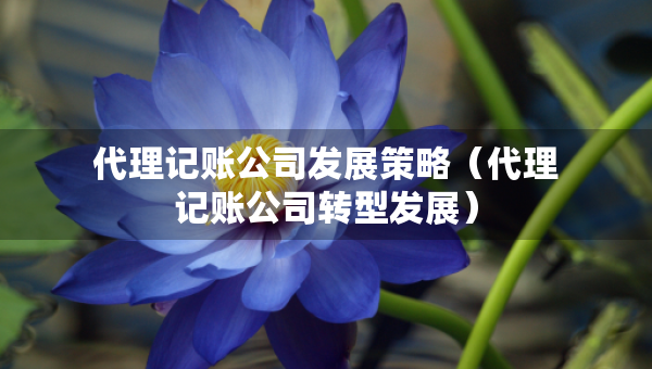代理记账公司发展策略（代理记账公司转型发展）