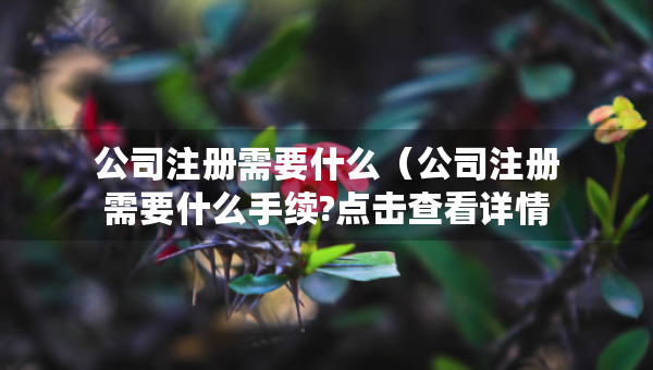 公司注册需要什么（公司注册需要什么手续?点击查看详情!）