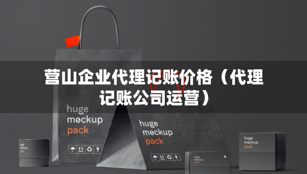 营山企业代理记账价格（代理记账公司运营）