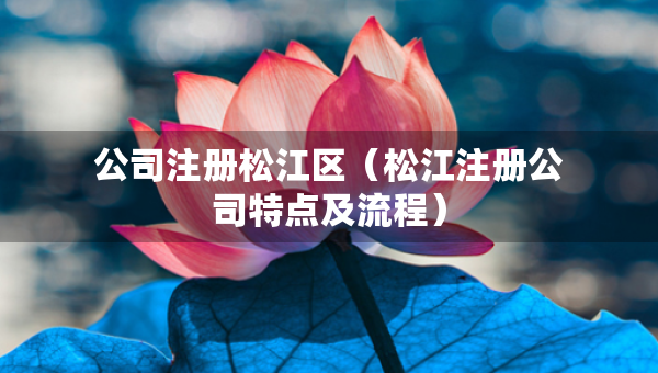 公司注册松江区（松江注册公司特点及流程）