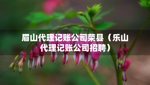 眉山代理记账公司荣县（乐山代理记账公司招聘）