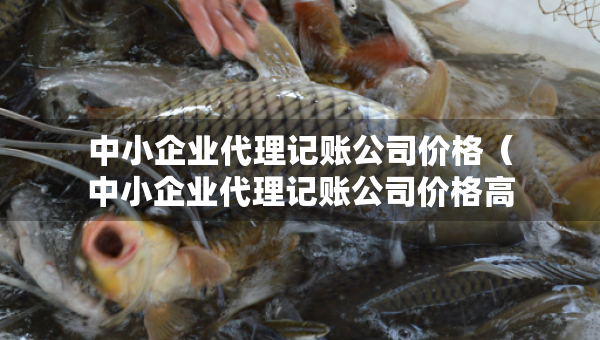 中小企业代理记账公司价格（中小企业代理记账公司价格高吗）