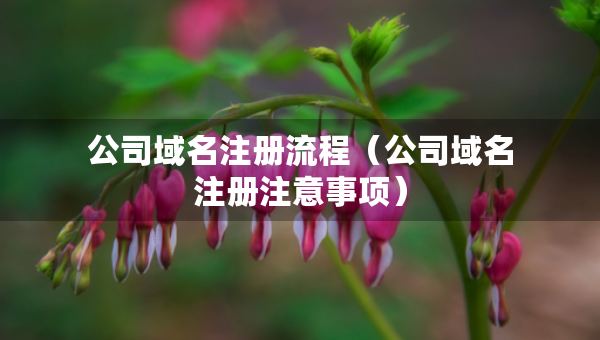 公司域名注册流程（公司域名注册注意事项）