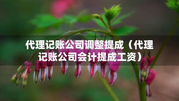 代理记账公司调整提成（代理记账公司会计提成工资）