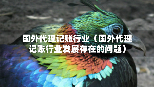 国外代理记账行业（国外代理记账行业发展存在的问题）