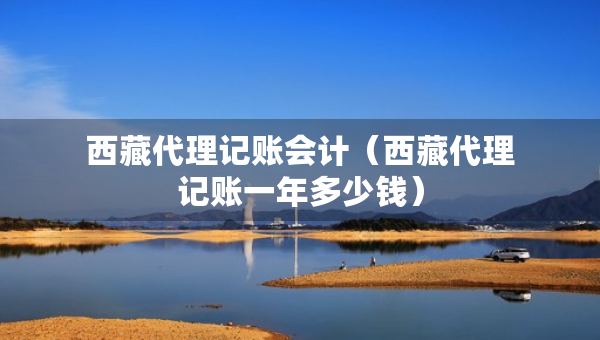 西藏代理记账会计（西藏代理记账一年多少钱）