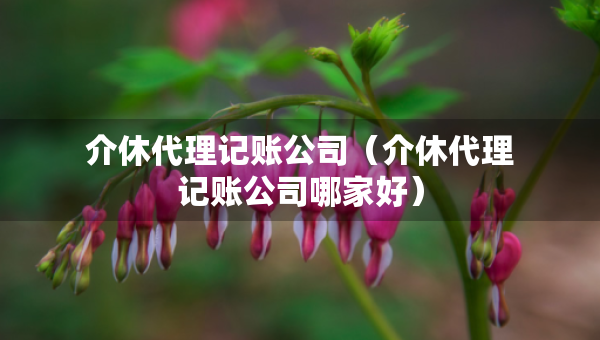 介休代理记账公司（介休代理记账公司哪家好）