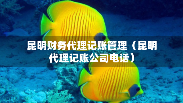昆明财务代理记账管理（昆明代理记账公司电话）