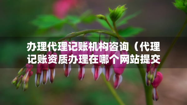 办理代理记账机构咨询（代理记账资质办理在哪个网站提交申请）