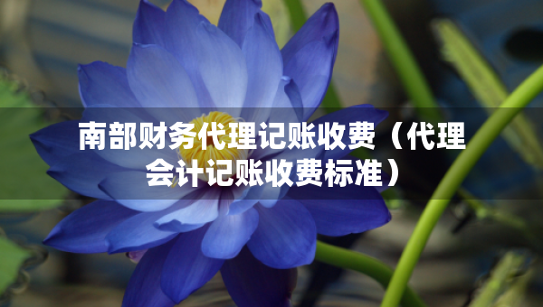 南部财务代理记账收费（代理会计记账收费标准）