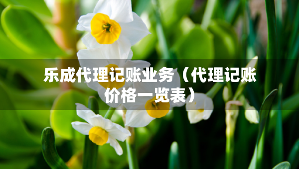 乐成代理记账业务（代理记账价格一览表）
