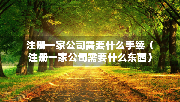 注册一家公司需要什么手续（注册一家公司需要什么东西）