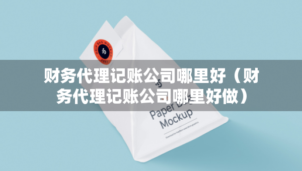 财务代理记账公司哪里好（财务代理记账公司哪里好做）