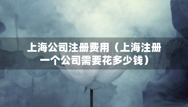 上海公司注册费用（上海注册一个公司需要花多少钱）