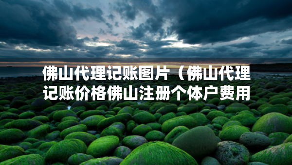 佛山代理记账图片（佛山代理记账价格佛山注册个体户费用）