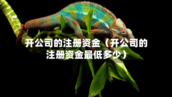 开公司的注册资金（开公司的注册资金最低多少）