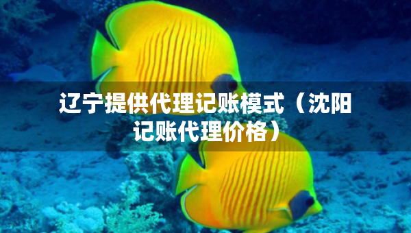 辽宁提供代理记账模式（沈阳记账代理价格）