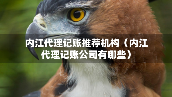 内江代理记账推荐机构（内江代理记账公司有哪些）