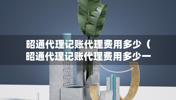 昭通代理记账代理费用多少（昭通代理记账代理费用多少一个月）