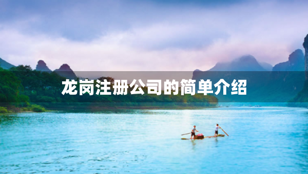 龙岗注册公司的简单介绍
